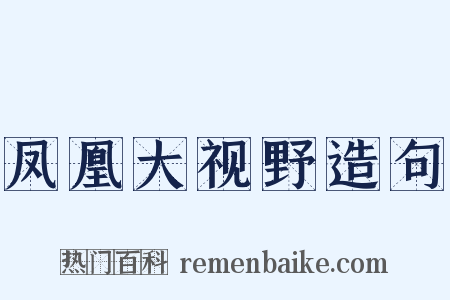 凤凰大视野造句是什么意思的图片